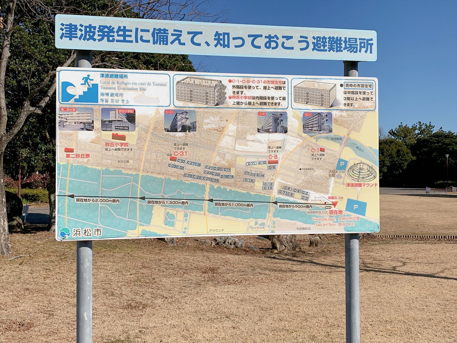 中田島