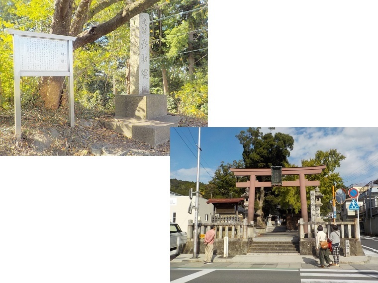 hikosuketsutsumi55 and hosoe temple55 (JPG 156KB)